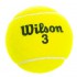 М'яч для великого тенісу WILSON AUSTRALIAN OPEN T1130 4шт салатовий Код T1130(Z)