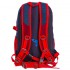 Рюкзак спортивний COLOR LIFE TY-5293 25 л кольору в асортименті Код TY-5293(Z)