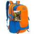 Рюкзак спортивний COLOR LIFE TY-5293 25 л кольору в асортименті Код TY-5293(Z)