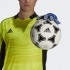 Рукавиці воротарські Adidas PREDATOR TRAINING GK3524 8