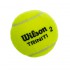 М'яч для великого тенісу WILSON TRINITI WRT125200 3шт салатовий Код WRT125200(Z)