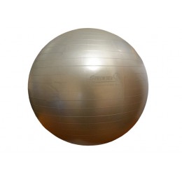 М'яч для фітнесу "GYM BALL" сталевий 50 см (700г)