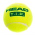 М'яч для великого тенісу HEAD TIP GREEN 578233 3шт салатовий Код 578233(Z)