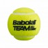 Тенісні м'ячі Babolat Team All Court x4 ball (4шт.)