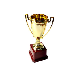 Кубок для нагородження Н11-111-140  (sns)