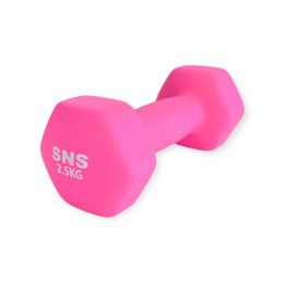 Гантель вінілова МАТОВА SNS 2,5 кг рожева Гантель вінілова МАТОВА SNS 2,5 кг рожева