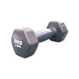 Гантель вінілова SNS 2,5 кг сіра